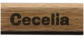 Close up of a name personalized on a marshmallow roasting stick.