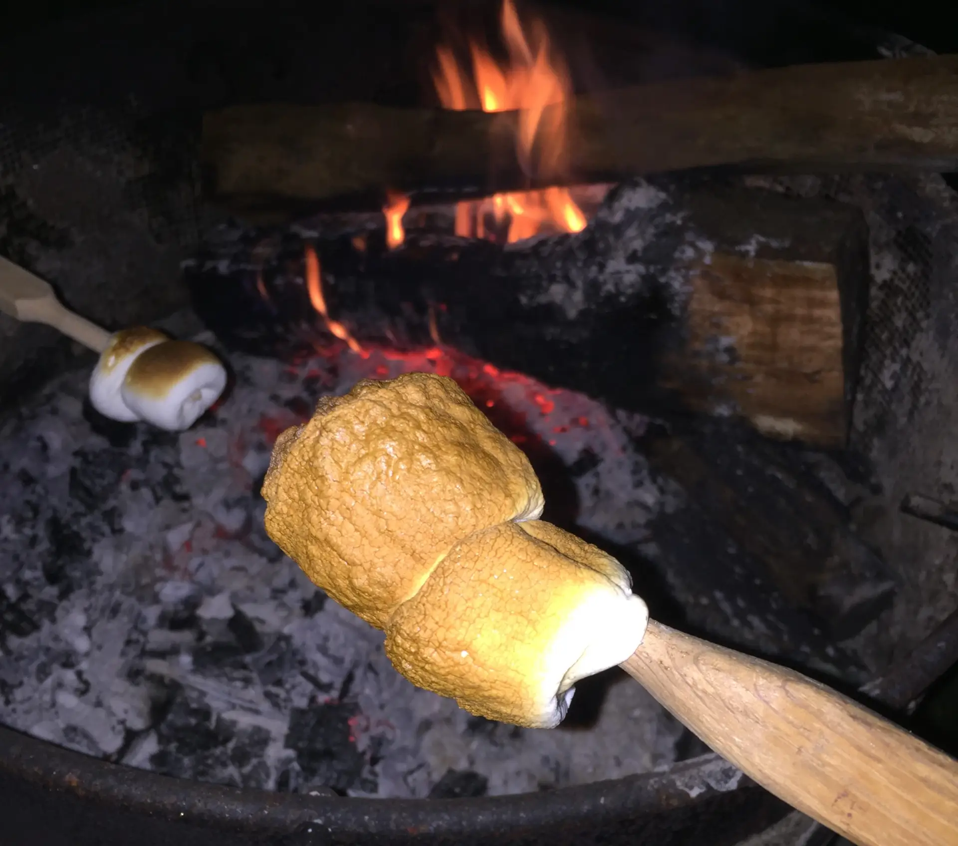 Roasting marshmallows with a fire pit in the background